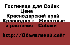 Гостиница для Собак › Цена ­ 500 - Краснодарский край, Краснодар г. Животные и растения » Собаки   